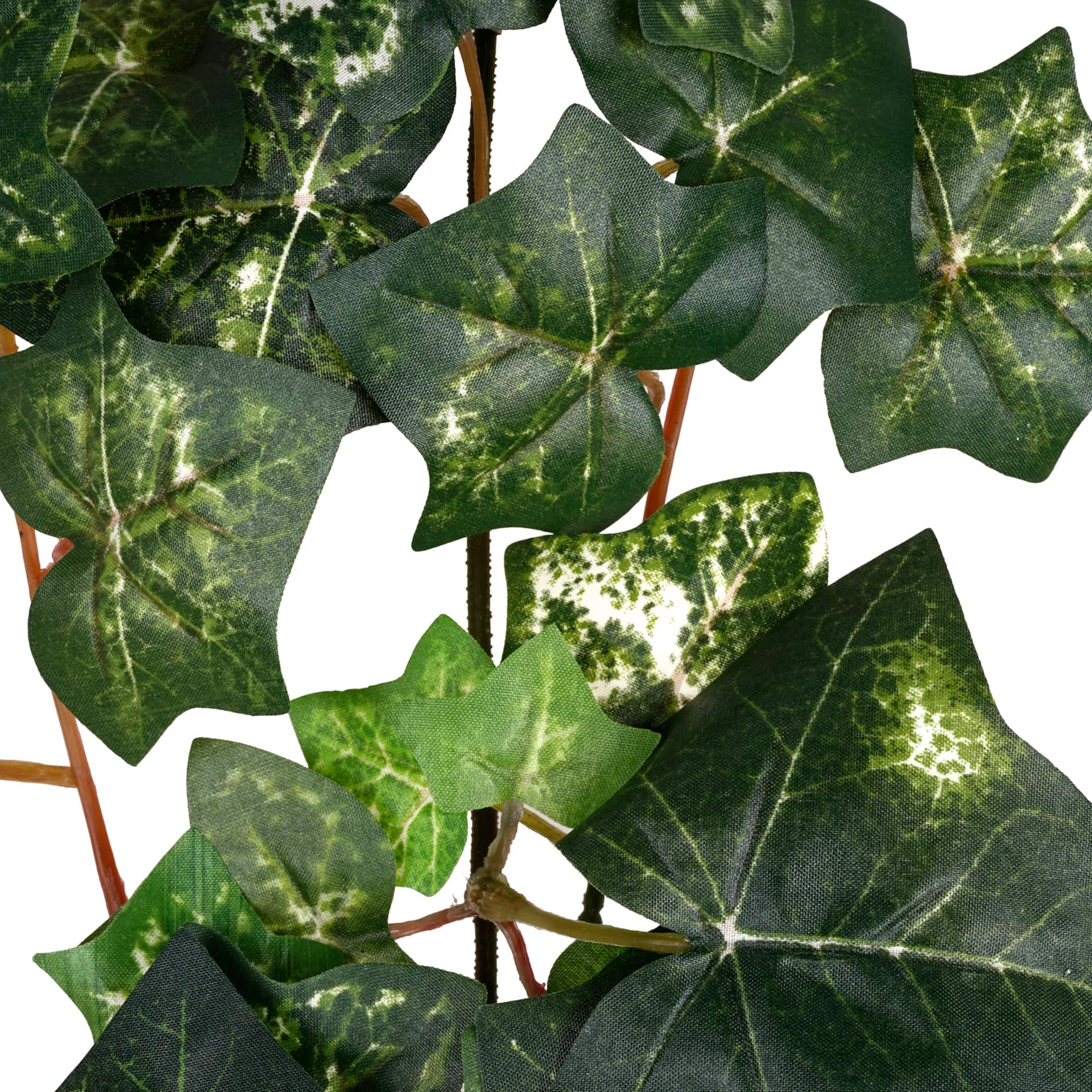 Silk Ivy Spray by Ashland®